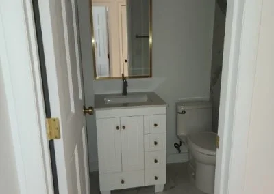 Professional House Building