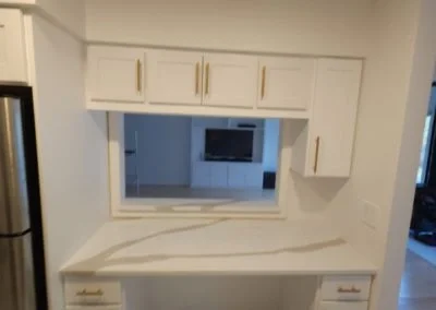 Professional House Building