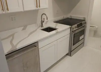 Professional House Building