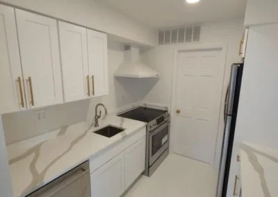 Professional House Building