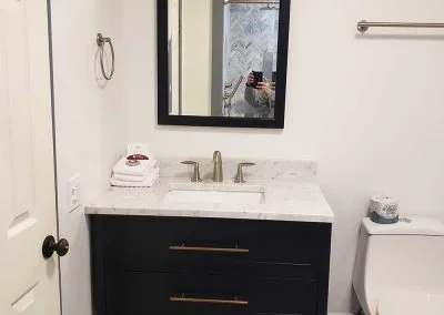 Professional House Building